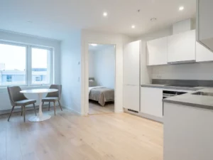 Minimalistisch eingerichtete Wohnung mit hellem Holzboden, weißer Küche, grauer Arbeitsplatte und rundem Tulpen-Esstisch.